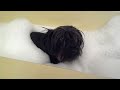 Click here to watch this video I LOVE MY BATH!