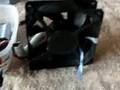 Snack Box--- Bedini fan