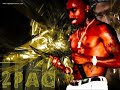 blackbeachweekcom-presentsbusted-the-brazilian-bitch-slap.html