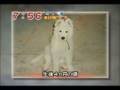 videos de CHUTNEY ON FUJI TV