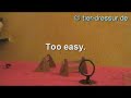 mouse clickertraining mouse clickertraining