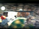 LittleBIGPlanet Level - Puzzles N\ LittleBIGPlanet Level - Puzzles N\