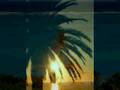 Semtex-Karibi-Party-