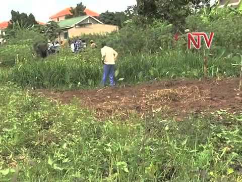 how to obtain a land title in uganda
