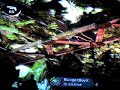 gears-of-war-gas-chamber-glitch.html