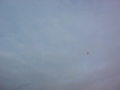 MOV03220.MPG