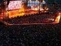 ligabue