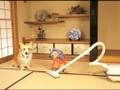 やさしい音を聞くわいぇ