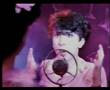 Soft Cell: Torch