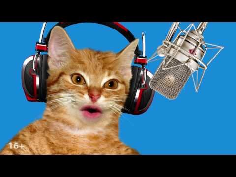 YouTube Трейлер