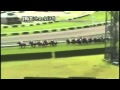 2011 Takarazuka Kinen