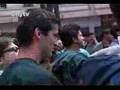 El aguacate - Defenza
