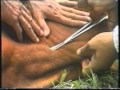 giet mo trau bo Cat tinh mach co trau bo - YouTube