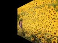 مهند محسن -تعبت وياك - البوم حب جنوني 1998