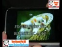 120%IPHONE CLONE？8GB N88 NPHONE SAY NO IPHONE TO US FOR NOW！