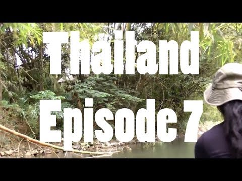 YouTube reptile video