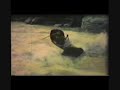 Whitcombe River pt 2