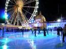 Winter wonderland