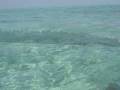 videos de Agatti Islands, Lakshadweep,Kerala