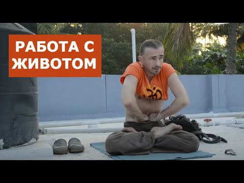 Работа с животом. Анатолий Зенченко. Семинар в Индии 2017 Работа с животом. Анатолий Зенченко. Семинар в Индии 2017