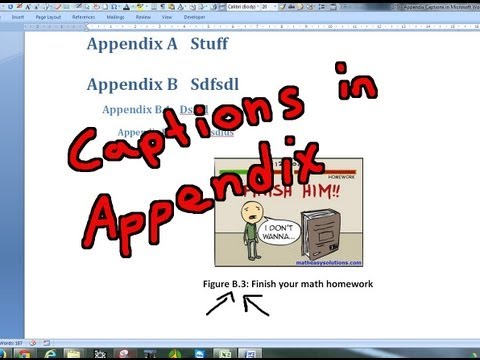 how to properly number appendices