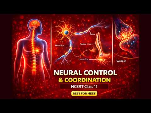 CBSE Class 11 Biology || Neural Control and Coordination || Full Chapter || By Shiksha House