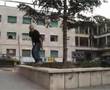 skate guidonia 2
