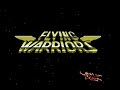 really easy game to beat if you just want to see the end and nothing else. just go to password and use the pw: end ending for flying warriors on nes