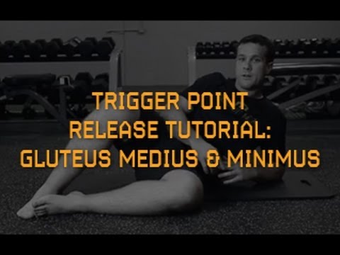 how to locate gluteus medius