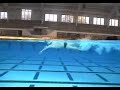 multi angle camera