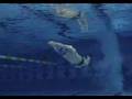Amazing Michael Phelps training footage