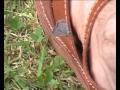 Butterfly on the Foot over 2 minute Perhonen jalalla 1999