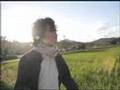 ベベチオ - 黄緑先生