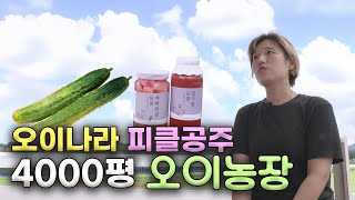 농촌진흥청 청년농업인TV