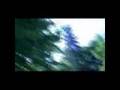 BIGFOOT ON FILM July 19, 2008