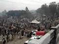 Sheep Market