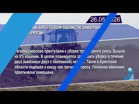 Новостная лента Телеканала Интекс 26.05.26.