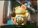 Capture