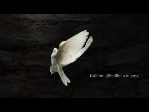 Güvercin İlk Tanıtım                                                                                                                                                                                                                                      