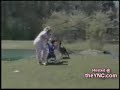 اضحك قد مافيك عله تحرش الطيور في الناس funny Birds and people