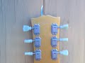 Gibson es295 Gibson es295