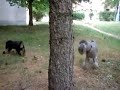 Jannyk_Argy