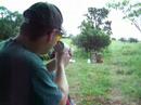 BBMG bb machinegun BBMG bb machinegun