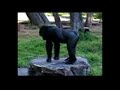 gp8ape gp8ape