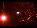 Click here to watch this video Vieille lune révolutionnaire - ym 2003