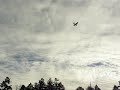 Eflite Jenny flying with floats.