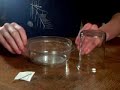 PSIWheel under a glass container