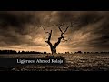 Vdekja - Ahmed Kalaja Vdekja - Ahmed Kalaja
