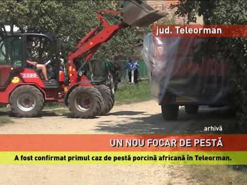 Primul caz de pestă porcină africană din județul Teleorman, confirmat