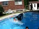 Saut incroyable ! Saut incroyable !